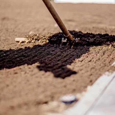 Rasenverlegung mit Bodenvorbereitung