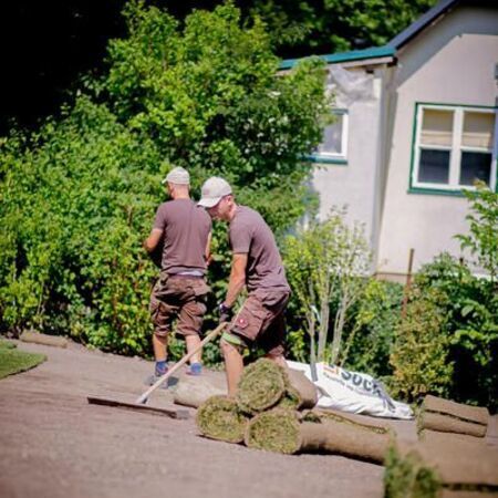 Rollrasen vom Profi verlegen lassen in Hennersdorf und Umgebung