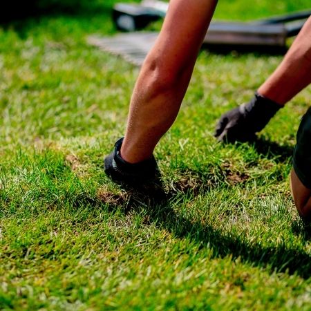 Rollrasen vom Profi verlegen lassen in Hennersdorf und Umgebung