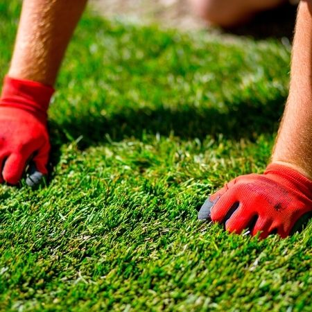 Rollrasen vom Profi verlegen lassen in Hennersdorf und Umgebung