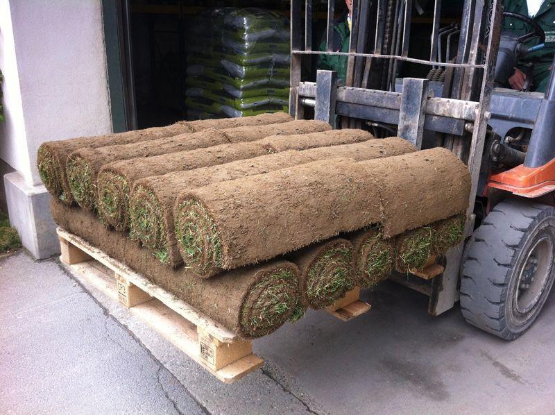 Rollrasenzustellung in Wien und Umgebung