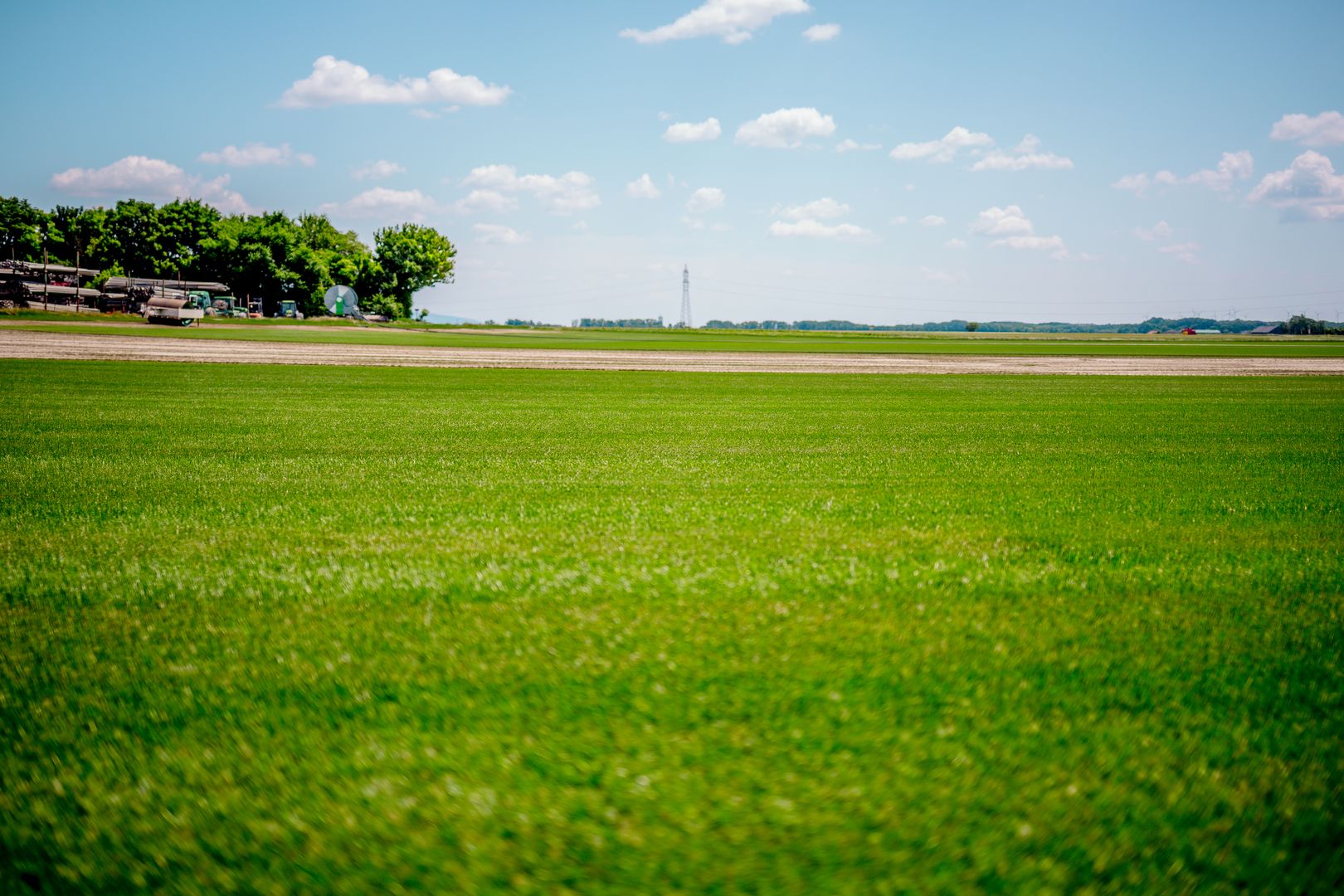 Informationen für Selbstabholer | Rollrasenwiese