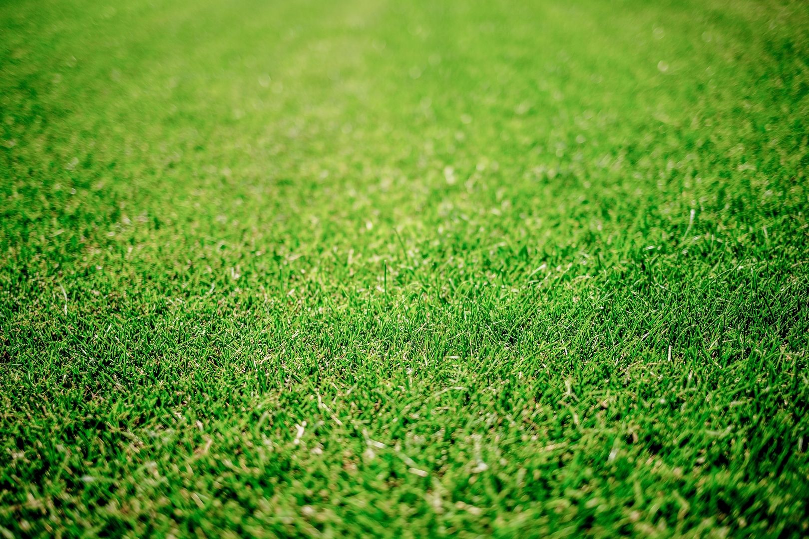 Informationen für Selbstabholer | Rollrasen